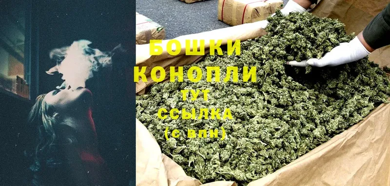 Канабис OG Kush  купить наркотики сайты  Кондрово 